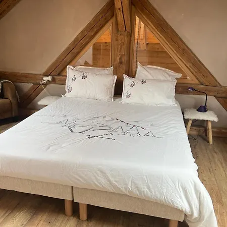 La Foge - Samoens X 14, Skis Aux Pieds Chalet Morillon