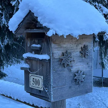 La Foge - Samoens X 14, Skis Aux Pieds * Morillon